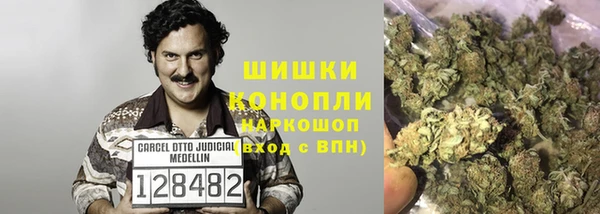 прущие крисы Абаза