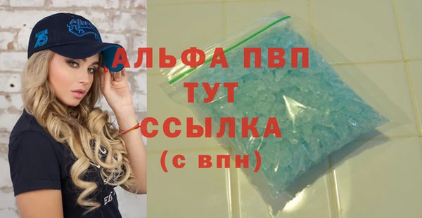 дживик Снежногорск