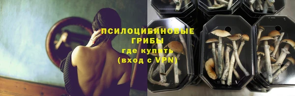 сатива Абдулино