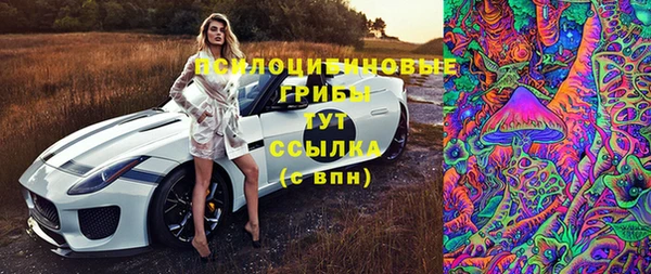 дживик Снежногорск