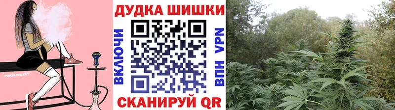 Бошки марихуана ГИДРОПОН  mega   Горбатов  дарнет шоп 